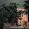 Plateau coeurs "ALBIZIA" Boncoeurs – Image 3