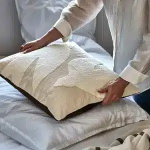 Coussin Fly House Doctor